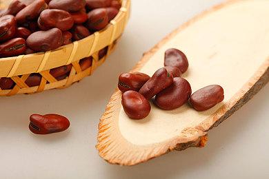 Annapurna将首次参加TGS 2025 携三款未公布新作